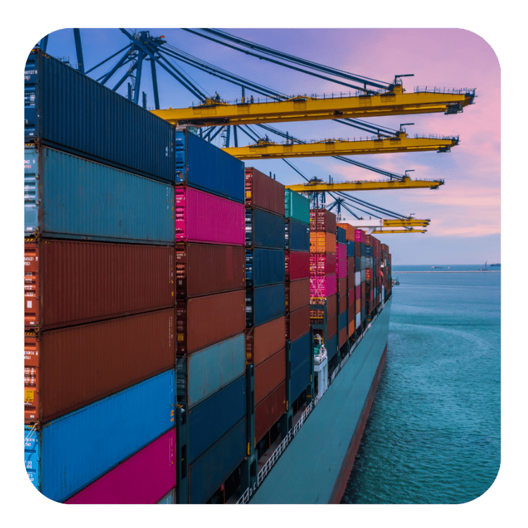 Market Entry Benefits